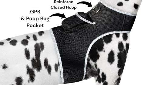 Mini Long Term Rechargeable GPS Dog Collar Tracking Device Waterproof Size:XL