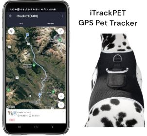Rechargeable GSM Dog GPS Mini Collar Mounted Realtime Tracker with Gyro System Size:XL