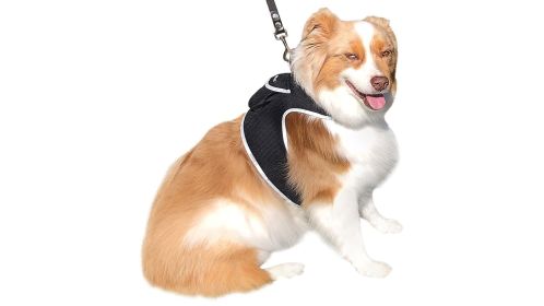 Sturdy Mini Cat Tracker GPS GSM Live/SMS Pet Location Finder Portable Size:XL