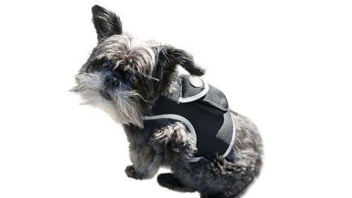 Enhanced Pet GPS Tracker Waterproof System for Realtime Dog Tracking Size:XL