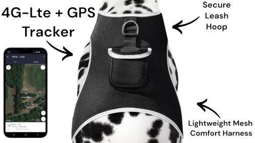 Collar Rechargeable GPS Dog Tracker Real-time Pet Location Surveillance System Size:XL