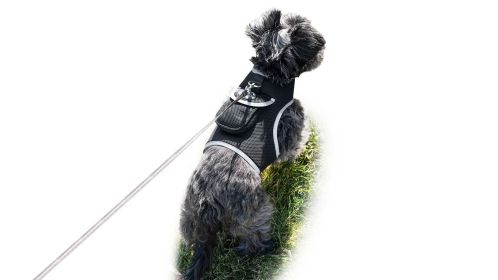 Easy to Use Mini Cell Phone GPS Pet Track Dog Cat Collar Mount Locator Size:XL