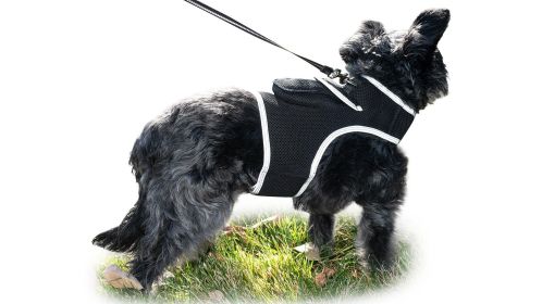 Realtime GSM Pet Locator Waterproof Mini Portable GPS Dog Cat Tracker Size:XL