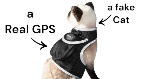 Wearable Mini GPS Cat Tracking Collar Pet Finder Waterproof Portable Size:XL