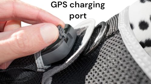 Waterproof Pet GPS Locator Device Rechargeable Dog/Cat Collar Tracker Size:XL