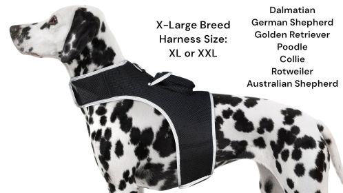 Wireless Pet Monitoring with Pet Tracker GSM GPS Pocket Dog Collar Tracker Size:XXL
