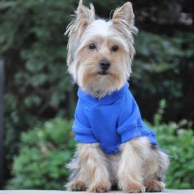 Flex-Fit Dog Hoodie - Blue (Option: X-Small)