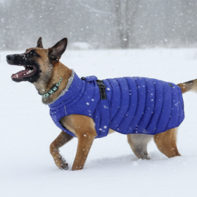 Alpine Extreme Weather Puffer Coat - Navy Blue (Option: X-Large)