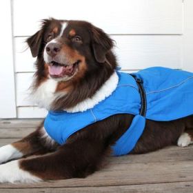 Alpine Tuf Terrain Dog Coat - Mountain Lake (Option: X-Large)