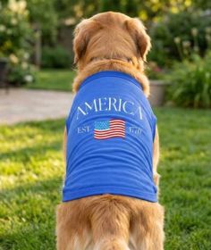 America Dog Shirt - Blue (Option: 2X-Large)