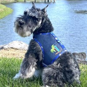 Cool Mesh Dog Harness with Leash - Ocean Blue and Palms (Option: Large)