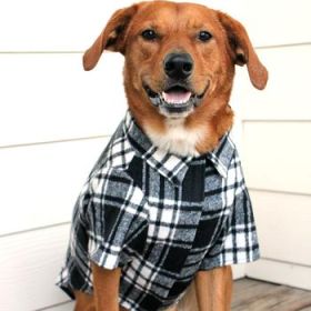 Flannel Dog Shirt - Black and White Plaid (Option: Large)