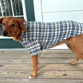 Flannel Dog Shirt - Gray and Blue Plaid (Option: Large)