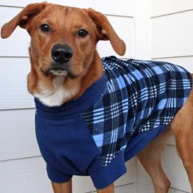 Highline Fleece Dog Coat - Blue Plaid (Option: Size 14)