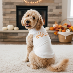 Little Pumpkin Pie Dog Shirt - White (Option: X-Large)