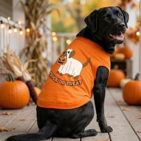 Trick or Treat Pup Dog Shirt - Sunset Orange (Option: X-Large)
