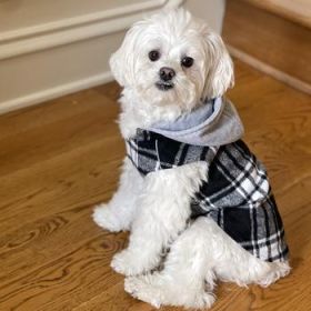 Weekender Dog Sweatshirt Hoodie - Black & White Plaid Flannel (Option: X-Large)