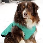 Alpine Extreme Weather Puffer Coat - Arcadia (Option: X-Large)