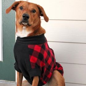 Highline Fleece Dog Coat - Red and Black Plaid (Option: Size 8)