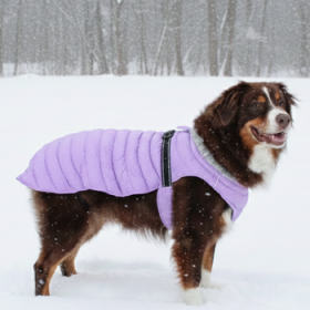 Alpine Extreme Weather Puffer Coat - Soft Plum (Option: Large)
