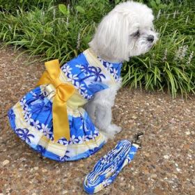 Catching Waves Dog Dress with Matching Leash (Option: Medium)