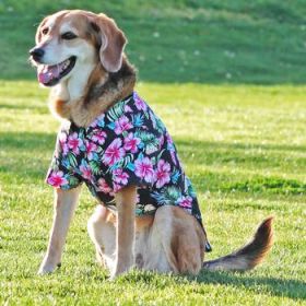 Hawaiian Camp Shirt - Paradise Nights (Option: Medium)