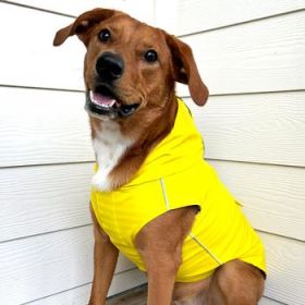 Slicker Raincoat with Striped Lining - Yellow (Option: Large)