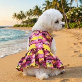 Tropical Sunset Dog Dress with Matching Leash (Option: Medium)