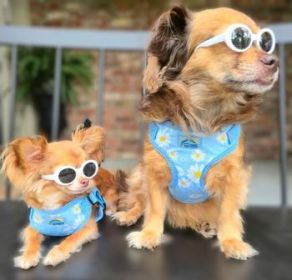 Wrap and Snap Choke Free Dog Harness by Doggie Design - Blue Daisy (Option: Large)