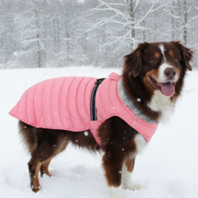 Alpine Extreme Weather Puffer Coat - Peach (Option: Small)
