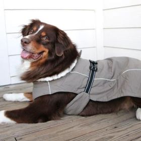 Alpine Tuf Terrain Dog Coat - Dried Sage (Option: Small)