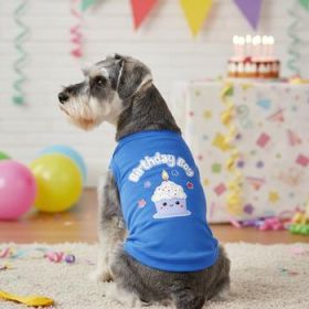 Birthday Boy Dog Shirt - Blue (Option: Medium)