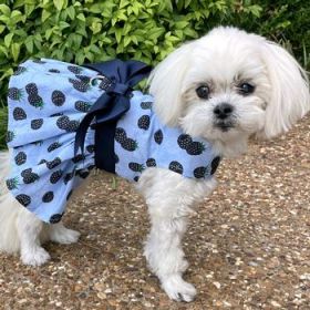 Blackberries Dog Dress with Matching Leash (Option: Small)