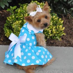Blue Polka Dot Dog Dress with Matching Leash (Option: Medium)