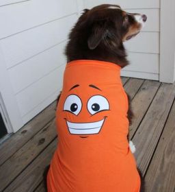 Happy Face Dog Shirt - Sunset Orange (Option: Small)