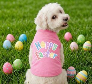 Hoppy Easter Dog Shirt - Carnation Pink (Option: Small)