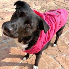 Packable Raincoat - Pink (Option: Small)