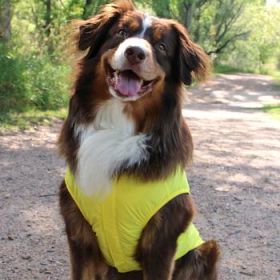 Packable Raincoat - Yellow (Option: Small)