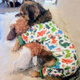 Soft Dog Pajamas - Dinos (Option: Small)