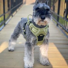 Venture Paw Pull Control Dog Harness - Aspen (Option: Small)