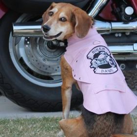 Biker Dawg Motorcycle Dog Jacket - Pink (Option: Large)