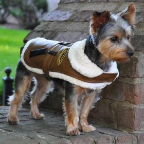 Brown and Black Faux Leather Bomber Dog Coat Harness and Leash (Option: Medium)