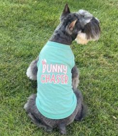 Bunny Chaser Dog Shirt - Teal (Option: Medium)