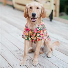 Hawaiian Camp Shirt - Sunset Hibiscus (Option: Small)