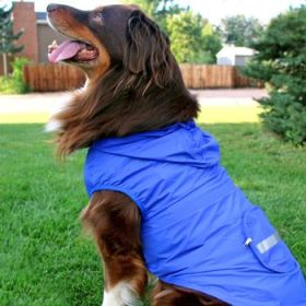 Packable Raincoat - Blue (Option: Medium)