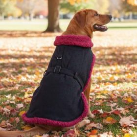 Sherpa-Lined Dog Harness Coat - Black & Burgundy Dots (Option: Medium)