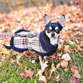 Sherpa-Lined Dog Harness Coat - Brown & White Plaid (Option: Medium)