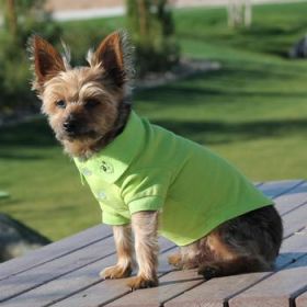 Solid Dog Polo - Green Flash (Option: Small)