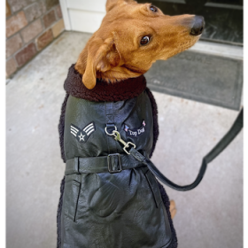 Top Dog Flight Harness Coat by Doggie Design - Black (Option: X-Small)