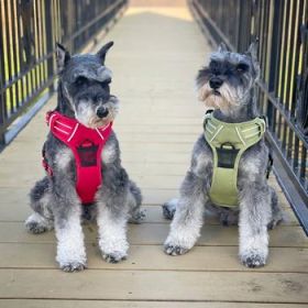 Venture Paw Pull Control Dog Harness - Crimson (Option: X-Small)